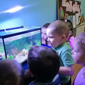 Ко где живи (3) Ко где живи (3)