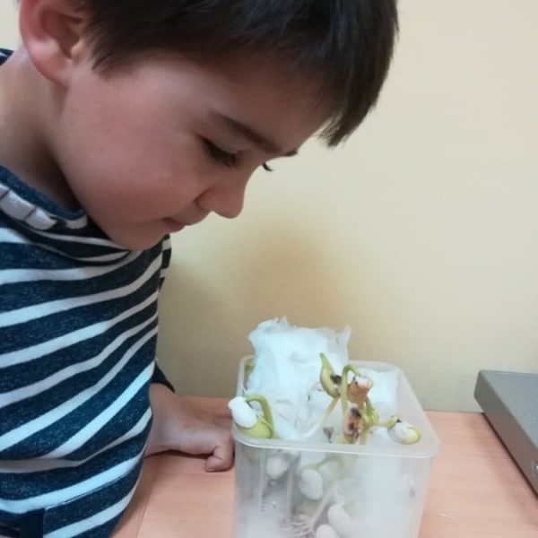 1 засадили смо пасуљ 1 засадили смо пасуљ