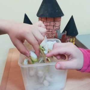 2 опипавамо клице 2 опипавамо клице