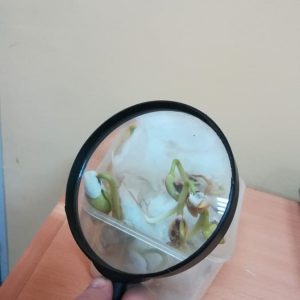 4 посматрамо га 4 посматрамо га