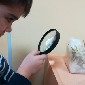 5 шта све запажамо 5 шта све запажамо