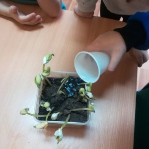 8 још која кап воде 8 још која кап воде