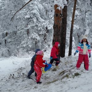 Зимски камп, Дечја радост-4 Зимски камп, Дечја радост-4