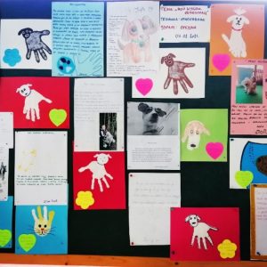 вртић Кекец, Панчево-3 вртић Кекец, Панчево-3