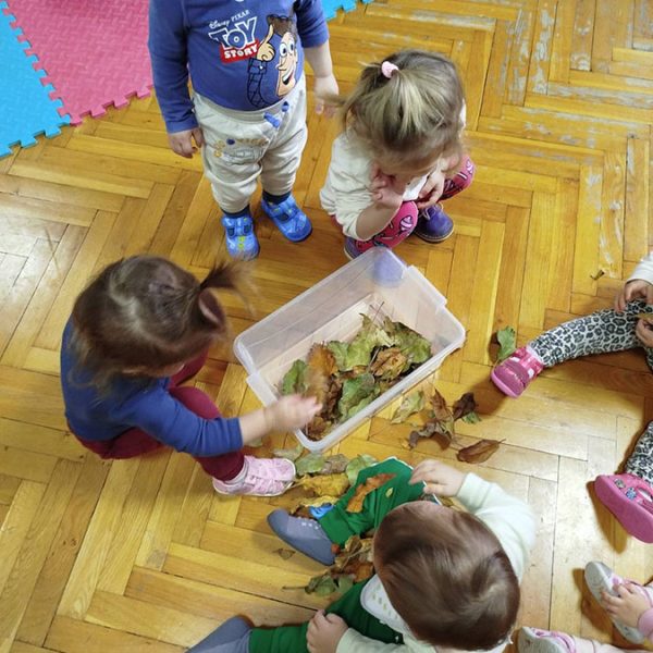 Развој фине моторике (1) Развој фине моторике (1)