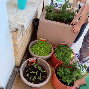 Забавиштанци су уређивали простор (3) Забавиштанци су уређивали простор (3)