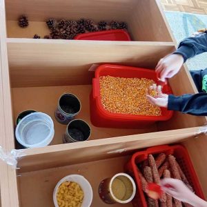 Забавиштанци су уређивали простор (6) Забавиштанци су уређивали простор (6)