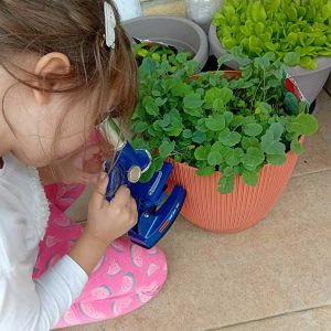 Забавиштанци су уређивали простор (8) Забавиштанци су уређивали простор (8)