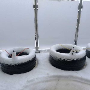 Кад нас снег изненади (7)