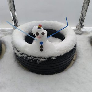 Кад нас снег изненади (8)