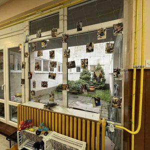 Простор - Трећи васпитач (2)