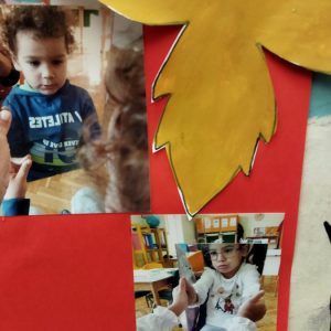 Вртић Љиљан-2