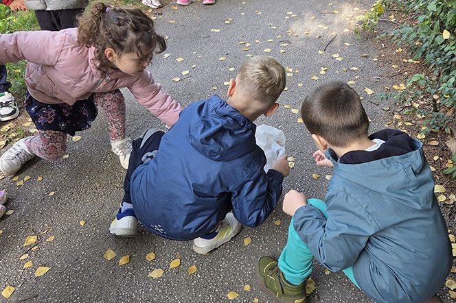 Зашто падају шишарке и жуто лишће (1)