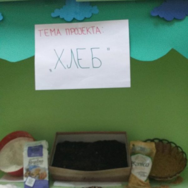 вртић Љиљан (1)