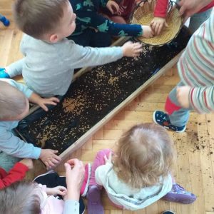 вртић Љиљан (2)