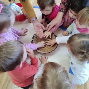 вртић Љиљан (4)