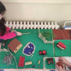 Пројекат Село (4)