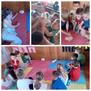 Тема пројекта - ЧАРОБНО (3)