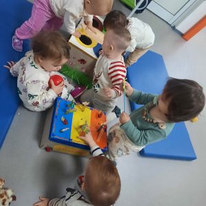 Све што лети, хтело би да лети (5)