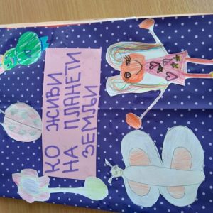 Вртић Бубамара-8 Вртић Бубамара-8