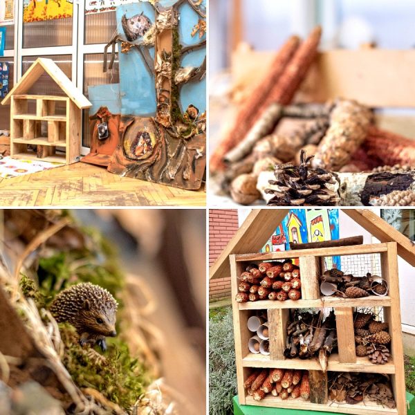 Вртић Лептирић Панчево-1 Вртић Лептирић Панчево-1