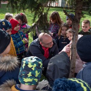 Вртић Лептирић Панчево-5 Вртић Лептирић Панчево-5