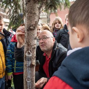 Вртић Лептирић Панчево-7 Вртић Лептирић Панчево-7