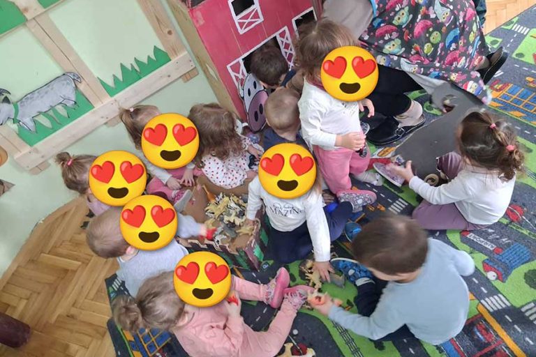 Пројекат Моја мала фарма (2)