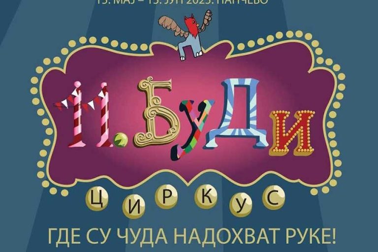 11. БУДИ фестивал (1)