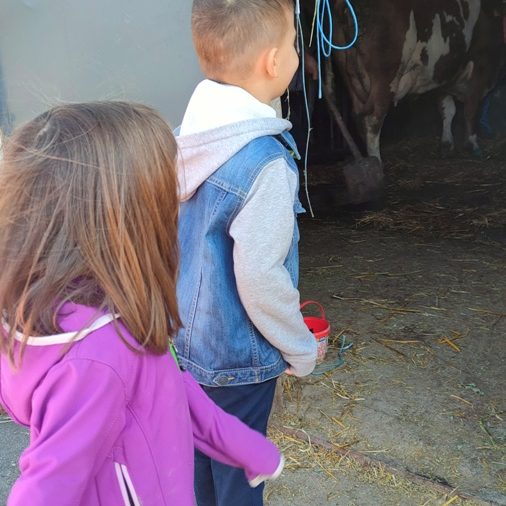 Вртић Бајка-1