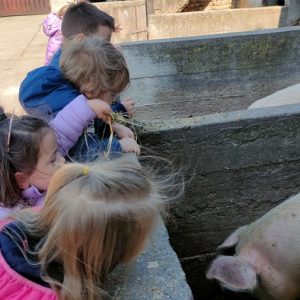 Вртић Бајка-4