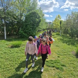 Вртић Љиљан-2