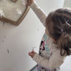 Пројекат Додир (2)