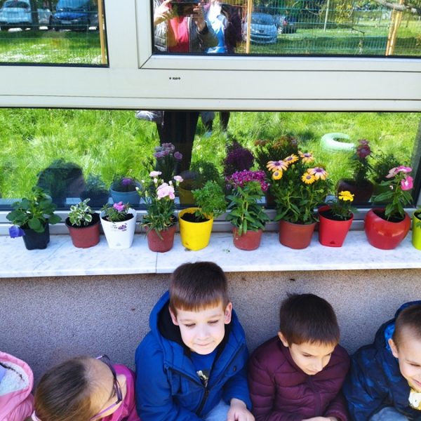 Сађење цвећа-1