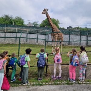 Вртић Лептирић Панчево (8) Вртић Лептирић Панчево (8)