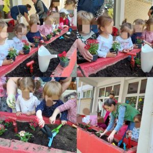 Вртић Чуперак-6 Вртић Чуперак-6