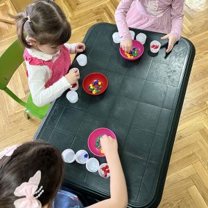 Пројекат “Истраживање предмета” (17) Пројекат “Истраживање предмета” (17)