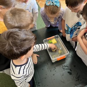 Пројекат “Истраживање предмета” (19) Пројекат “Истраживање предмета” (19)