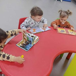 Сликовнице (2)