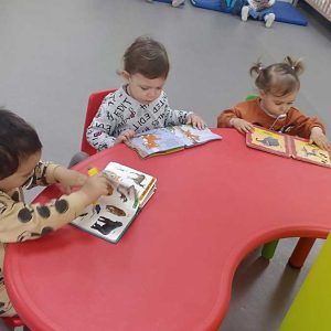 Сликовнице (3)