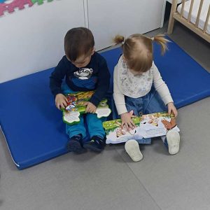 Сликовнице (4)