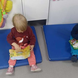 Сликовнице (5)