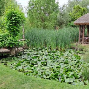 Вртић Лане-2