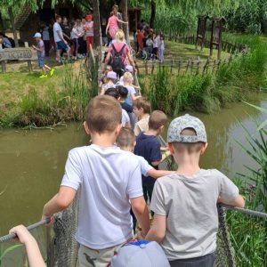 Вртић Лане-22