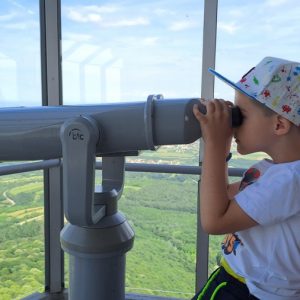 Вртић Лане-28