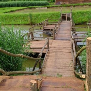 Вртић Лане-3