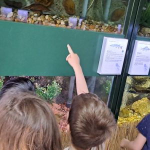 Вртић Лане-7