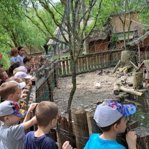 Вртић Лане-9