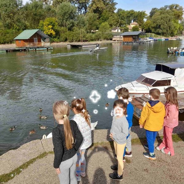 Вртић Љиљан-1