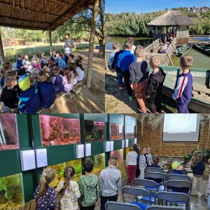 Вртић Чуперак Панчево (2)